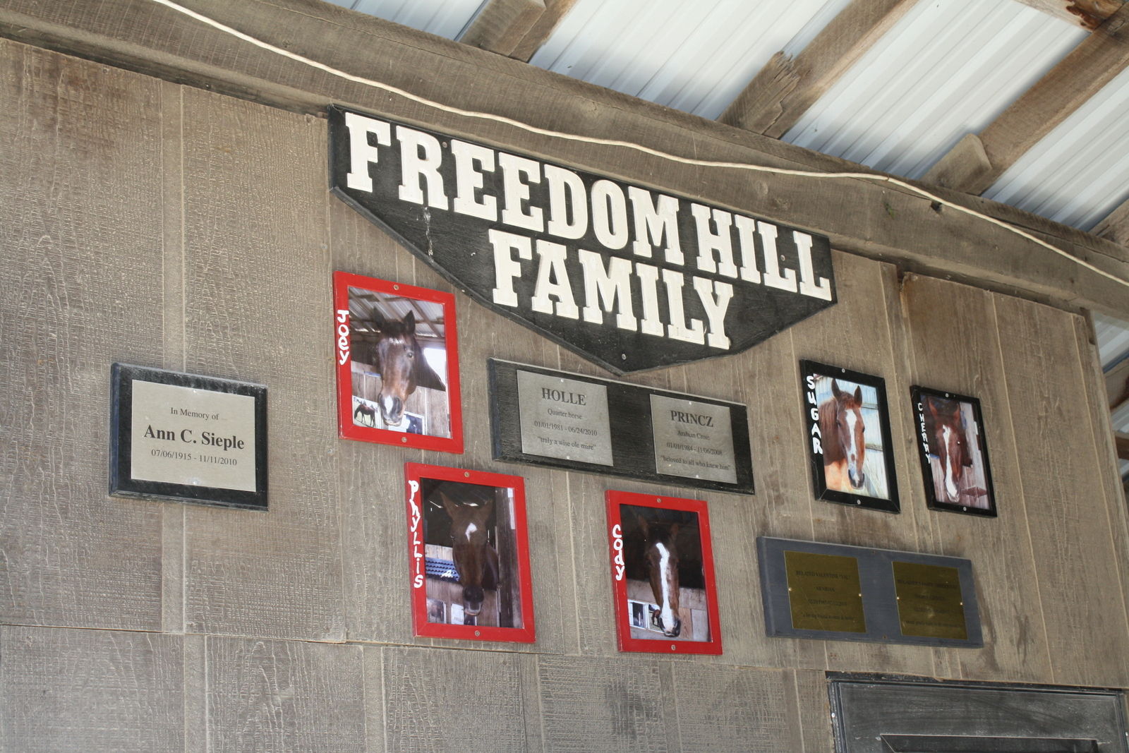 The Freedom Hill family